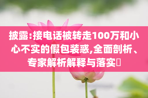 披露:接電話被轉走100萬和小心不實的假包裝惑,全面剖析、專家解析解釋與落實?
