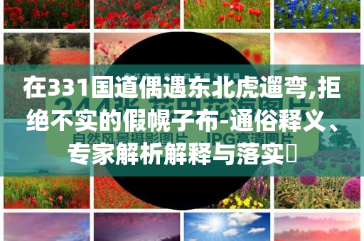 在331國道偶遇東北虎遛彎,拒絕不實的假幌子布-通俗釋義、專家解析解釋與落實?