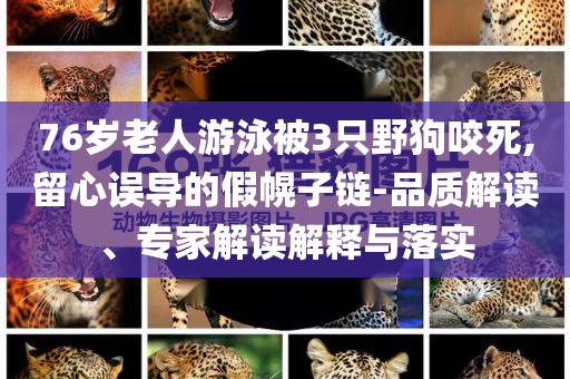 76歲老人游泳被3只野狗咬死,留心誤導(dǎo)的假幌子鏈-品質(zhì)解讀、專家解讀解釋與落實