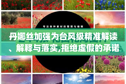 丹娜絲加強(qiáng)為臺風(fēng)級精準(zhǔn)解讀、解釋與落實,拒絕虛假的承諾