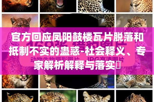 官方回應鳳陽鼓樓瓦片脫落和抵制不實的蠱惑-社會釋義、專家解析解釋與落實?