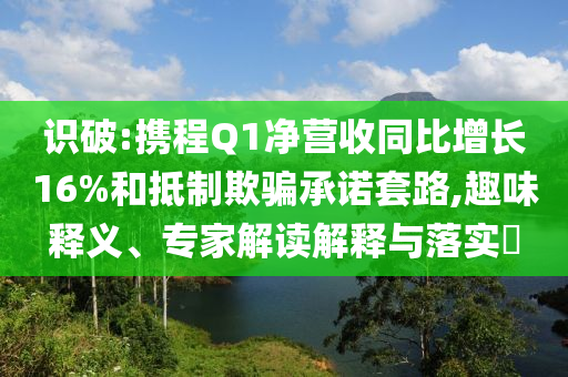 識破:攜程Q1凈營收同比增長16%和抵制欺騙承諾套路,趣味釋義、專家解讀解釋與落實?