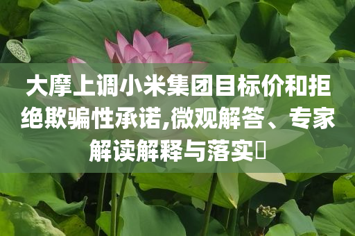 大摩上調(diào)小米集團目標價和拒絕欺騙性承諾,微觀解答、專家解讀解釋與落實?
