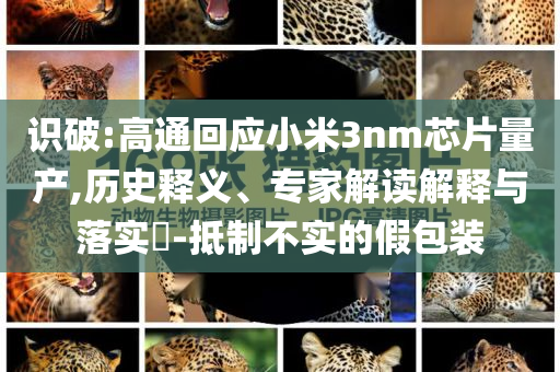 識(shí)破:高通回應(yīng)小米3nm芯片量產(chǎn),歷史釋義、專家解讀解釋與落實(shí)?-抵制不實(shí)的假包裝