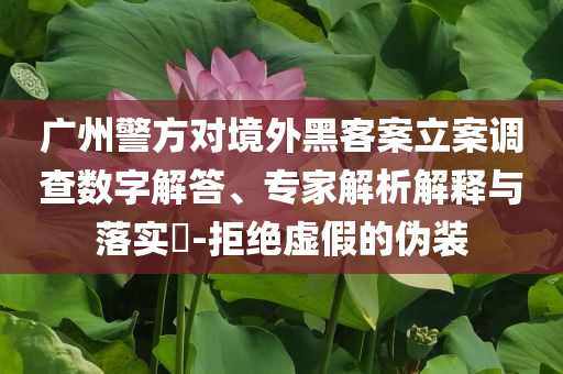廣州警方對(duì)境外黑客案立案調(diào)查數(shù)字解答、專家解析解釋與落實(shí)?-拒絕虛假的偽裝