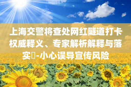 上海交警將查處網(wǎng)紅隧道打卡權(quán)威釋義、專家解析解釋與落實(shí)?-小心誤導(dǎo)宣傳風(fēng)險(xiǎn)