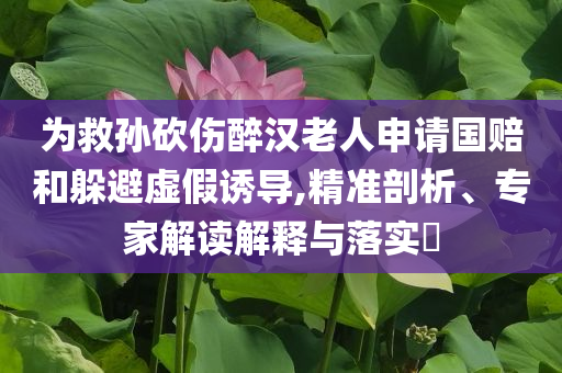 為救孫砍傷醉漢老人申請國賠和躲避虛假誘導(dǎo),精準剖析、專家解讀解釋與落實?