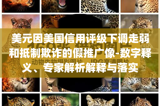 美元因美國信用評級下調(diào)走弱和抵制欺詐的假推廣像-數(shù)字釋義、專家解析解釋與落實