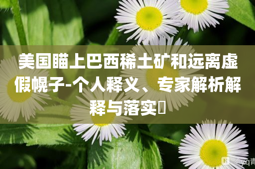 美國(guó)瞄上巴西稀土礦和遠(yuǎn)離虛假幌子-個(gè)人釋義、專家解析解釋與落實(shí)?