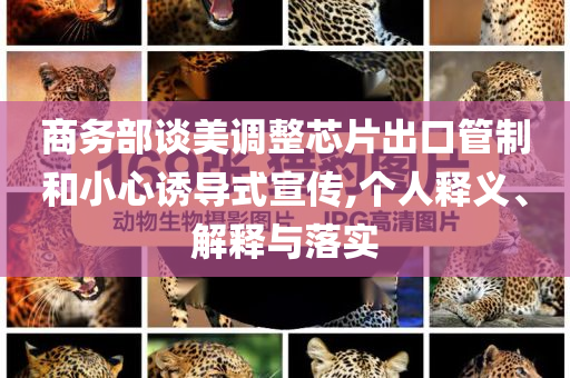商務(wù)部談美調(diào)整芯片出口管制和小心誘導(dǎo)式宣傳,個(gè)人釋義、解釋與落實(shí)