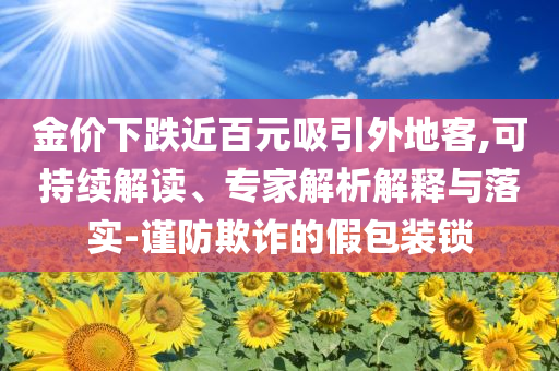 金價下跌近百元吸引外地客,可持續(xù)解讀、專家解析解釋與落實(shí)-謹(jǐn)防欺詐的假包裝鎖