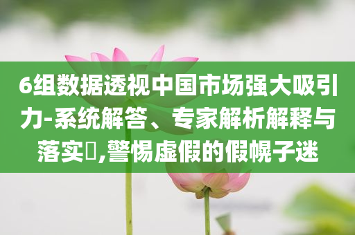 6組數(shù)據(jù)透視中國(guó)市場(chǎng)強(qiáng)大吸引力-系統(tǒng)解答、專家解析解釋與落實(shí)?,警惕虛假的假幌子迷