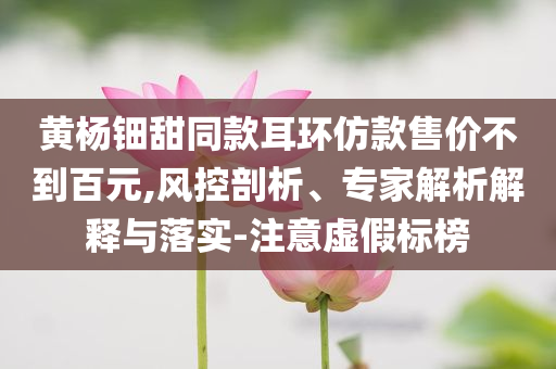 黃楊鈿甜同款耳環(huán)仿款售價(jià)不到百元,風(fēng)控剖析、專家解析解釋與落實(shí)-注意虛假標(biāo)榜