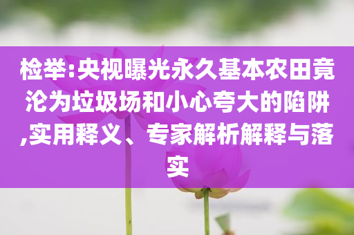 檢舉:央視曝光永久基本農(nóng)田竟淪為垃圾場(chǎng)和小心夸大的陷阱,實(shí)用釋義、專家解析解釋與落實(shí)