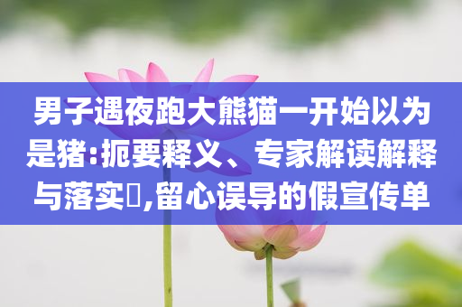 男子遇夜跑大熊貓一開始以為是豬:扼要釋義、專家解讀解釋與落實?,留心誤導(dǎo)的假宣傳單