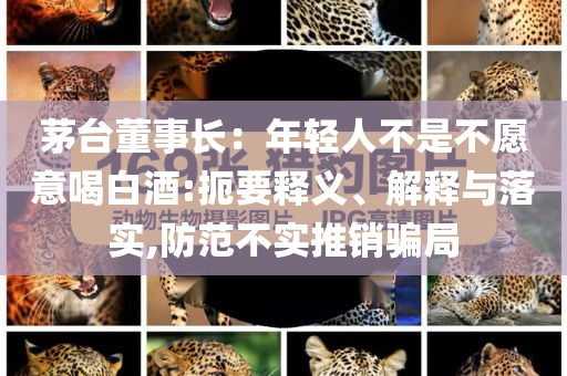 茅臺(tái)董事長(zhǎng)：年輕人不是不愿意喝白酒:扼要釋義、解釋與落實(shí),防范不實(shí)推銷騙局