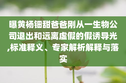 曝黃楊鈿甜爸爸剛從一生物公司退出和遠離虛假的假誘導光,標準釋義、專家解析解釋與落實