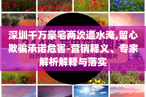 深圳千萬豪宅兩次遭水淹,留心欺騙承諾危害-營銷釋義、專家解析解釋與落實