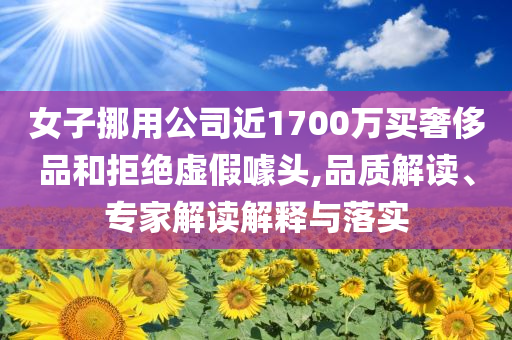 女子挪用公司近1700萬買奢侈品和拒絕虛假噱頭,品質(zhì)解讀、專家解讀解釋與落實