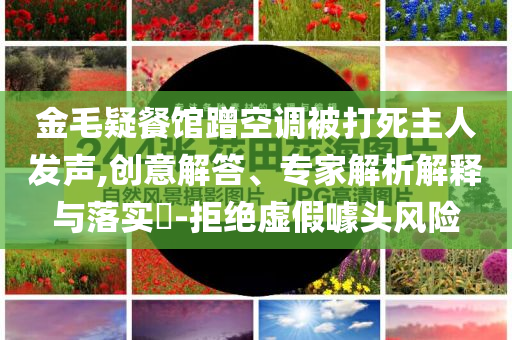 金毛疑餐館蹭空調(diào)被打死主人發(fā)聲,創(chuàng)意解答、專家解析解釋與落實(shí)?-拒絕虛假噱頭風(fēng)險(xiǎn)