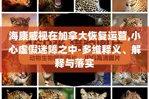 ?？低曉诩幽么蠡謴瓦\營,小心虛假迷障之中-多維釋義、解釋與落實