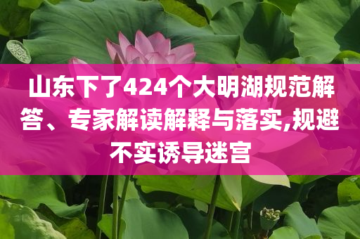 山東下了424個大明湖規(guī)范解答、專家解讀解釋與落實,規(guī)避不實誘導(dǎo)迷宮