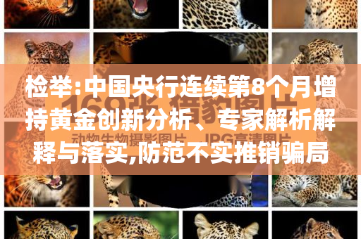 檢舉:中國央行連續(xù)第8個月增持黃金創(chuàng)新分析、專家解析解釋與落實,防范不實推銷騙局