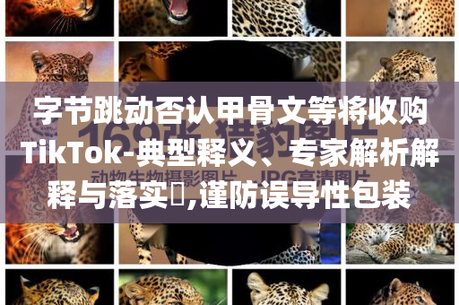 字節(jié)跳動(dòng)否認(rèn)甲骨文等將收購TikTok-典型釋義、專家解析解釋與落實(shí)?,謹(jǐn)防誤導(dǎo)性包裝