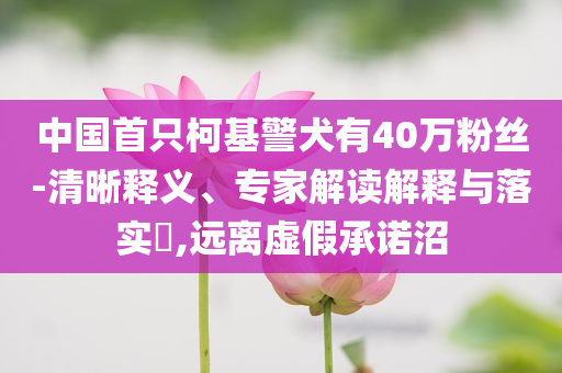 中國首只柯基警犬有40萬粉絲-清晰釋義、專家解讀解釋與落實?,遠(yuǎn)離虛假承諾沼