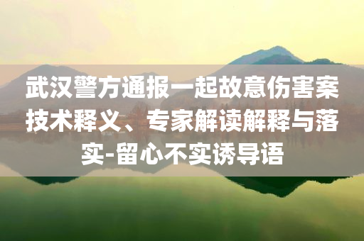 武漢警方通報(bào)一起故意傷害案技術(shù)釋義、專(zhuān)家解讀解釋與落實(shí)-留心不實(shí)誘導(dǎo)語(yǔ)