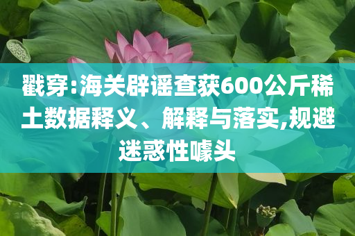 戳穿:海關辟謠查獲600公斤稀土數(shù)據(jù)釋義、解釋與落實,規(guī)避迷惑性噱頭