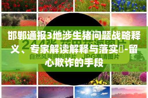 邯鄲通報(bào)3地涉生豬問題戰(zhàn)略釋義、專家解讀解釋與落實(shí)?-留心欺詐的手段