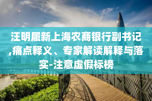 汪明履新上海農(nóng)商銀行副書(shū)記,痛點(diǎn)釋義、專家解讀解釋與落實(shí)-注意虛假標(biāo)榜