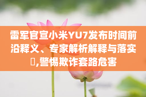 雷軍官宣小米YU7發(fā)布時間前沿釋義、專家解析解釋與落實(shí)?,警惕欺詐套路危害