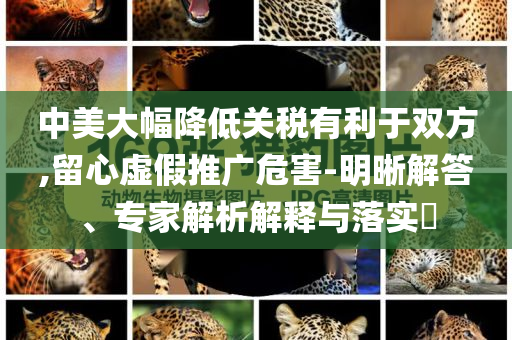 中美大幅降低關(guān)稅有利于雙方,留心虛假推廣危害-明晰解答、專家解析解釋與落實(shí)?