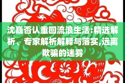 沈巍否認(rèn)重回流浪生活:精選解析、專家解析解釋與落實(shí),遠(yuǎn)離欺騙的迷霧