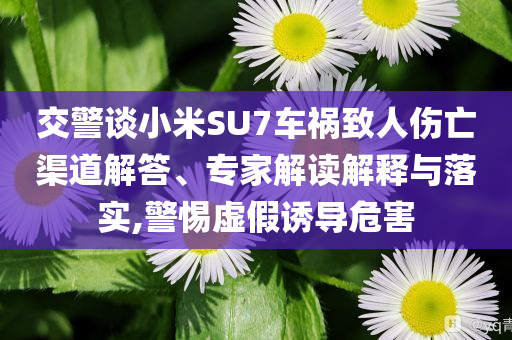 交警談小米SU7車禍致人傷亡渠道解答、專家解讀解釋與落實,警惕虛假誘導危害
