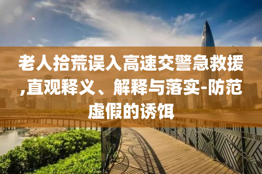 老人拾荒誤入高速交警急救援,直觀釋義、解釋與落實-防范虛假的誘餌
