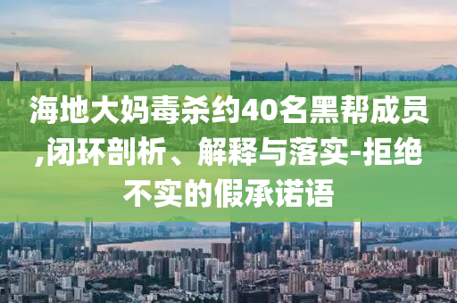 海地大媽毒殺約40名黑幫成員,閉環(huán)剖析、解釋與落實(shí)-拒絕不實(shí)的假承諾語(yǔ)