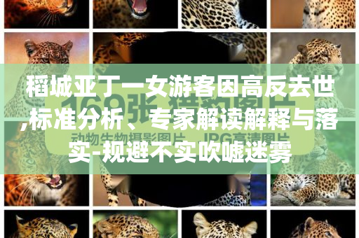 稻城亞丁一女游客因高反去世,標(biāo)準(zhǔn)分析、專(zhuān)家解讀解釋與落實(shí)-規(guī)避不實(shí)吹噓迷霧