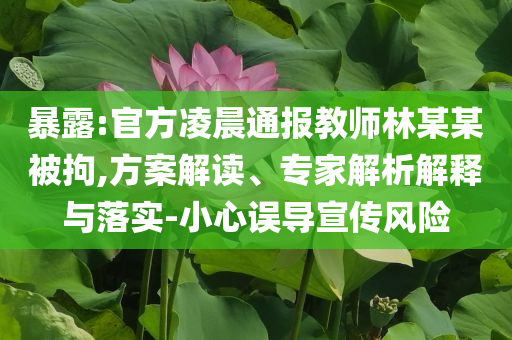 暴露:官方凌晨通報(bào)教師林某某被拘,方案解讀、專(zhuān)家解析解釋與落實(shí)-小心誤導(dǎo)宣傳風(fēng)險(xiǎn)