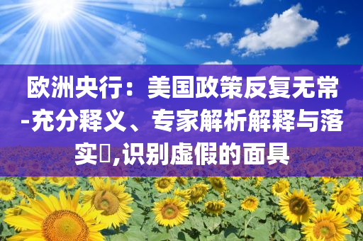 歐洲央行：美國(guó)政策反復(fù)無(wú)常-充分釋義、專(zhuān)家解析解釋與落實(shí)?,識(shí)別虛假的面具