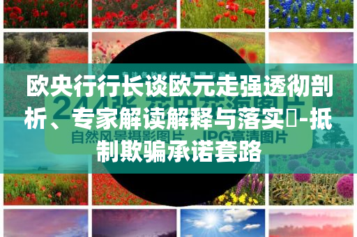 歐央行行長(zhǎng)談歐元走強(qiáng)透徹剖析、專(zhuān)家解讀解釋與落實(shí)?-抵制欺騙承諾套路