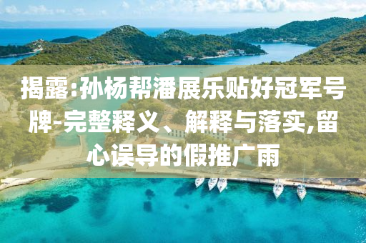 揭露:孫楊幫潘展樂貼好冠軍號牌-完整釋義、解釋與落實(shí),留心誤導(dǎo)的假推廣雨