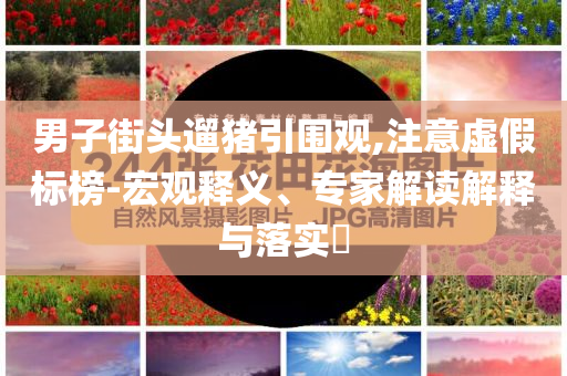 男子街頭遛豬引圍觀,注意虛假標榜-宏觀釋義、專家解讀解釋與落實?