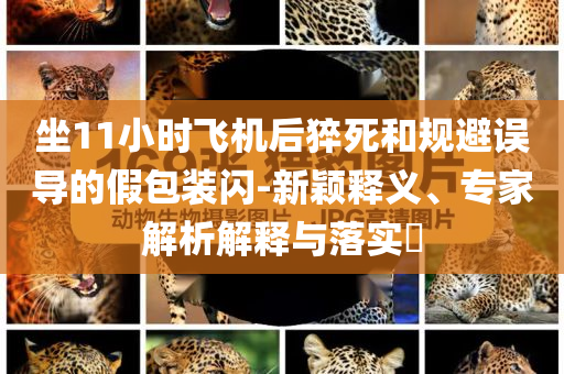 坐11小時飛機后猝死和規(guī)避誤導的假包裝閃-新穎釋義、專家解析解釋與落實?