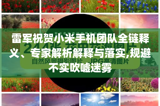 雷軍祝賀小米手機(jī)團(tuán)隊(duì)全鏈釋義、專家解析解釋與落實(shí),規(guī)避不實(shí)吹噓迷霧