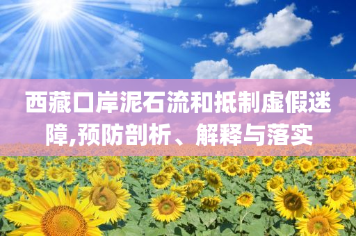 西藏口岸泥石流和抵制虛假迷障,預(yù)防剖析、解釋與落實