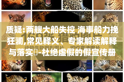 質(zhì)疑:兩艘大船失控 海事船力挽狂瀾,常見(jiàn)釋義、專家解讀解釋與落實(shí)?-杜絕虛假的假宣傳冊(cè)