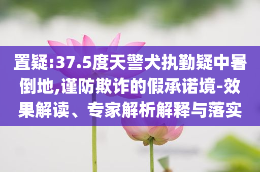 置疑:37.5度天警犬執(zhí)勤疑中暑倒地,謹(jǐn)防欺詐的假承諾境-效果解讀、專家解析解釋與落實(shí)